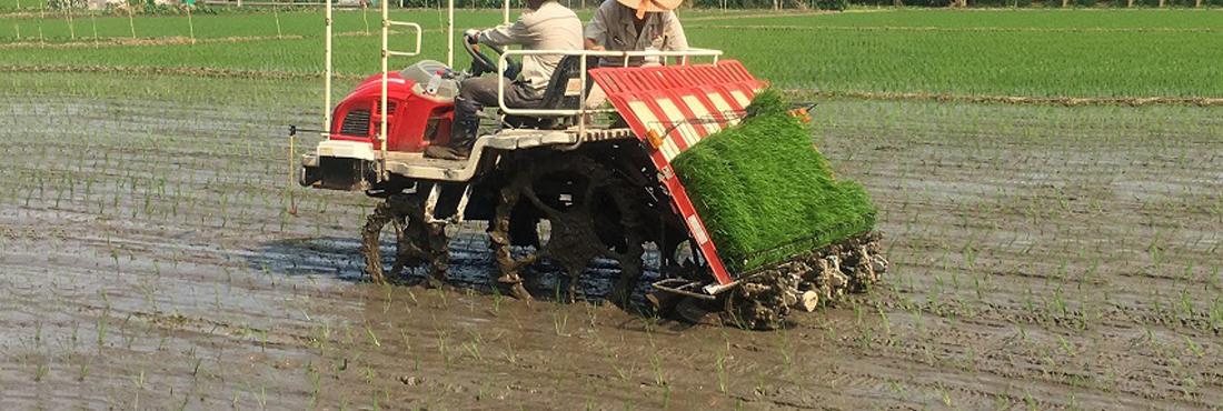 Rice Transplanter